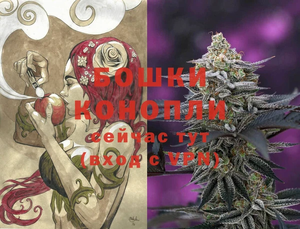 PSILOCYBIN Алзамай