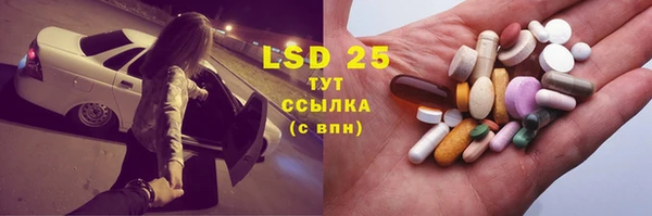 PSILOCYBIN Алзамай