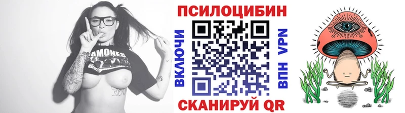 OMG ССЫЛКА  Агрыз  Псилоцибиновые грибы ЛСД 