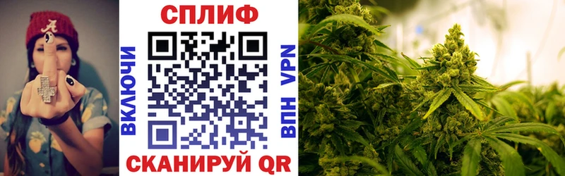 МАРИХУАНА SATIVA & INDICA  где можно купить наркотик  Агрыз 